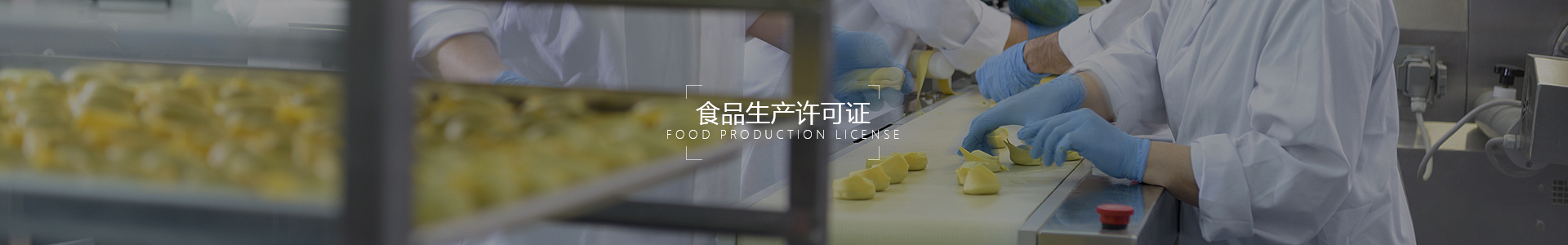 食品生產(chǎn)許可證